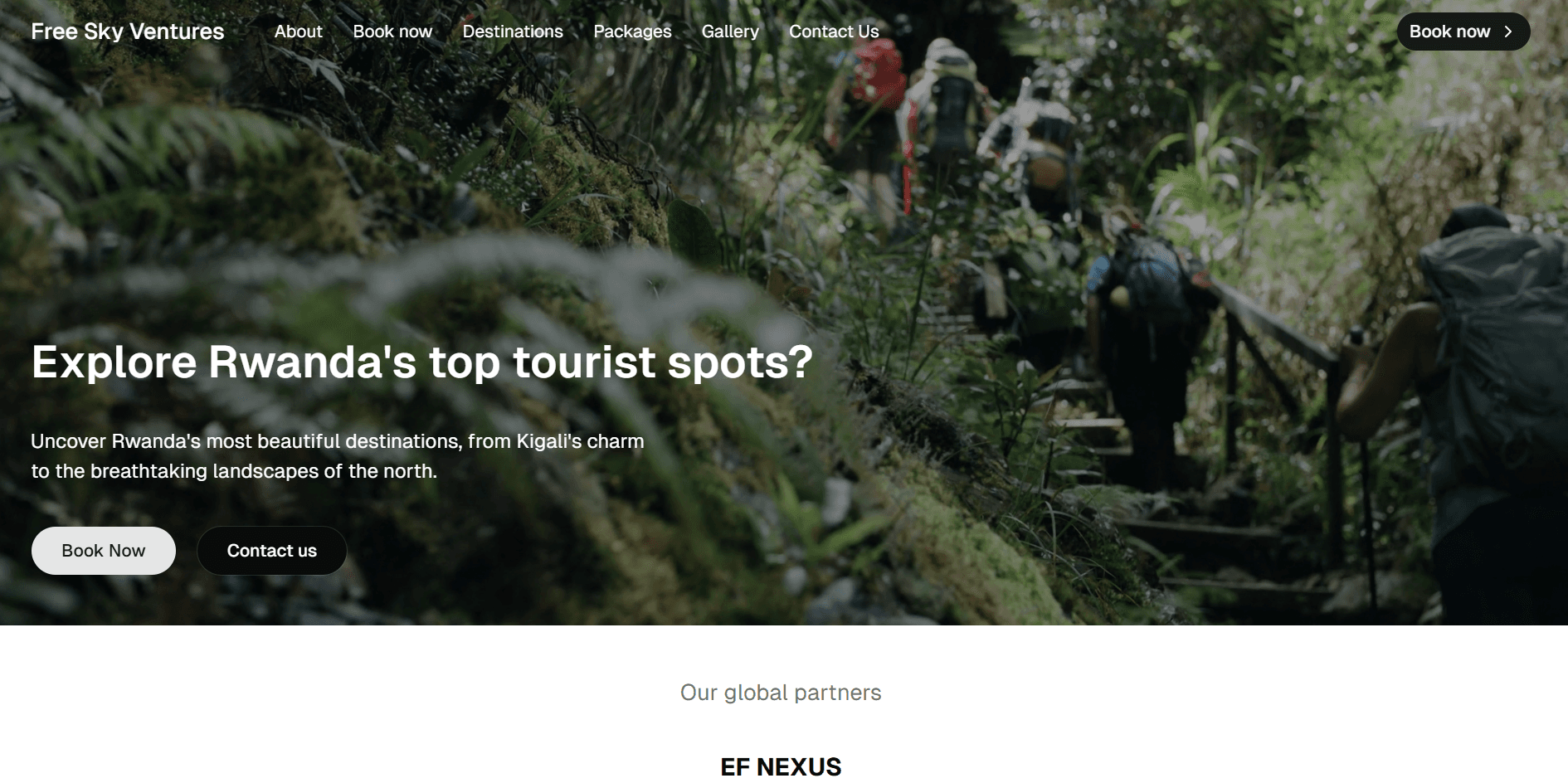 FreeSkyVenture Website